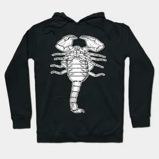 Scorpion | Insect Entomology Bugs Hoodie